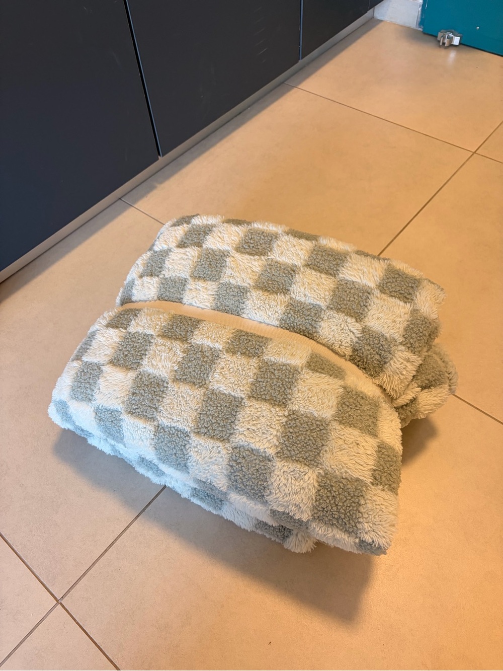 Plush Checkered Throw Blanket - Sage and Cream